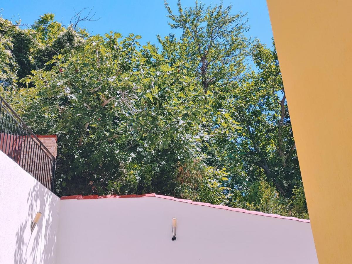 Villa Metatron U Doma Balcic Exterior foto
